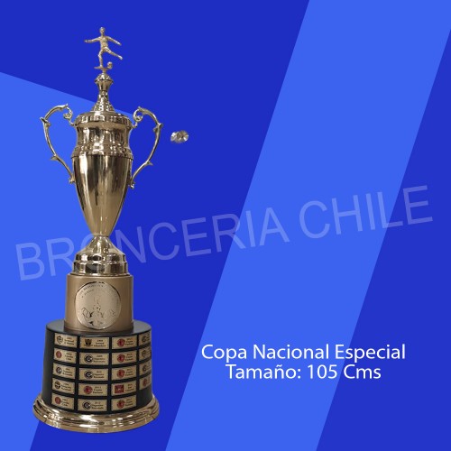 Copa Nacional Anfa Dorada Especial Con Base Negra