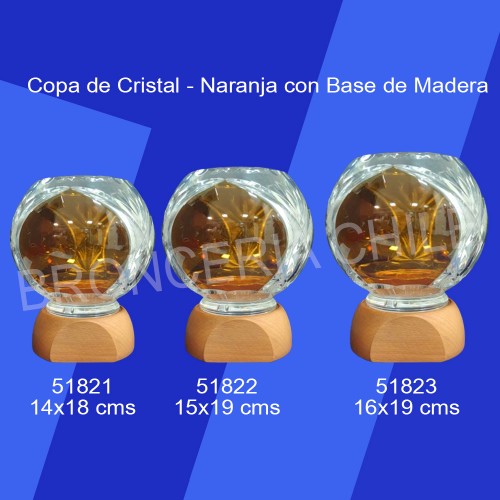Copa de Cristal con Base de Madera