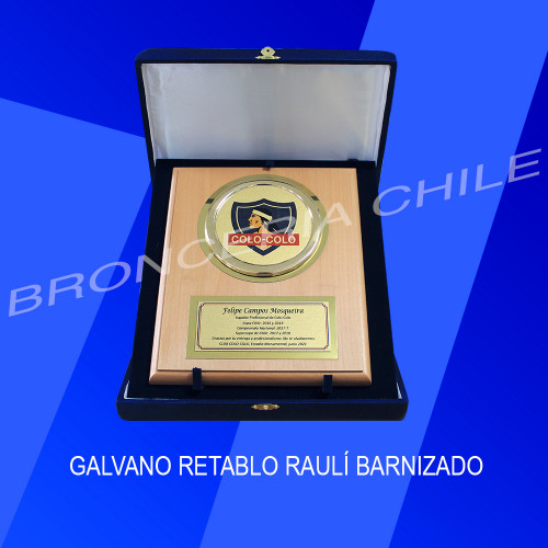 GALVANO RETABLO RAULÍ BARNIZADO DISCO BOMBE METALIZADO COLOR 24X29